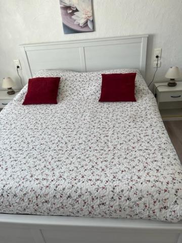 Hotel Attrap'Reves Aspres-sur-Buëch Esterno foto